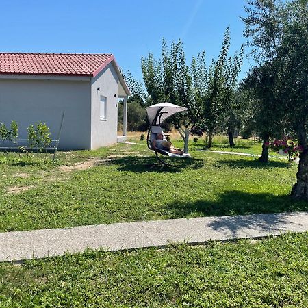 Ktima Mimoza Διαμέρισμα Συκιά Εξωτερικό φωτογραφία