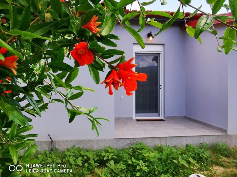 Ktima Mimoza Διαμέρισμα Συκιά Εξωτερικό φωτογραφία